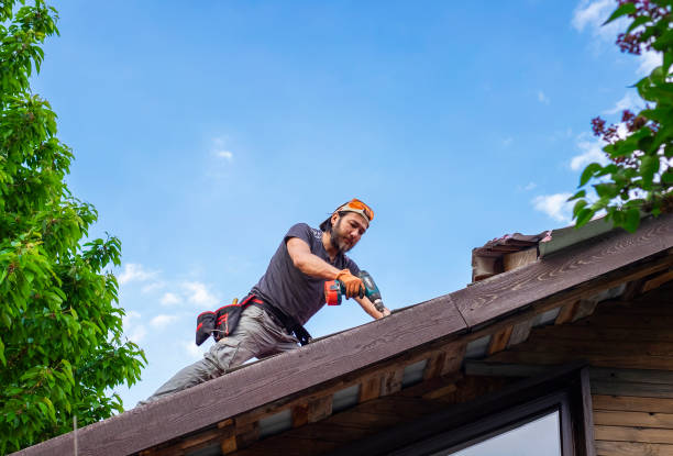 Best Metal Roofing Installation  in El Paso, IL